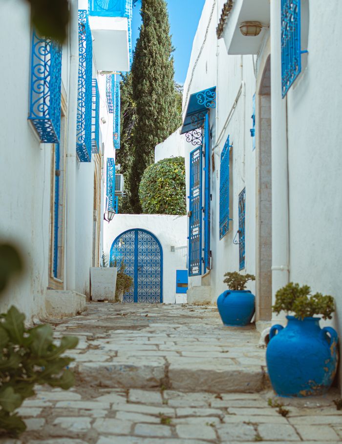 Charming white and blue alley with potted plants in Carthage, Tunisia, on a sunny day.